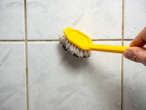 Best Home Mold Removal  in Mackinac Island, MI
