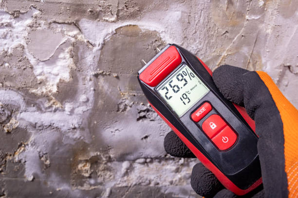 Best Mold Cleaning Services  in Mackinac Island, MI