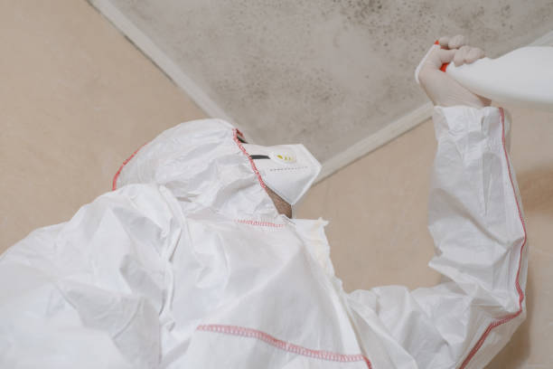 Best Water Damage Restoration  in Mackinac Island, MI
