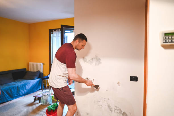 Best Mold Damage Repair  in Mackinac Island, MI